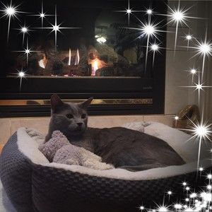 Meet your Posher, Suzanne